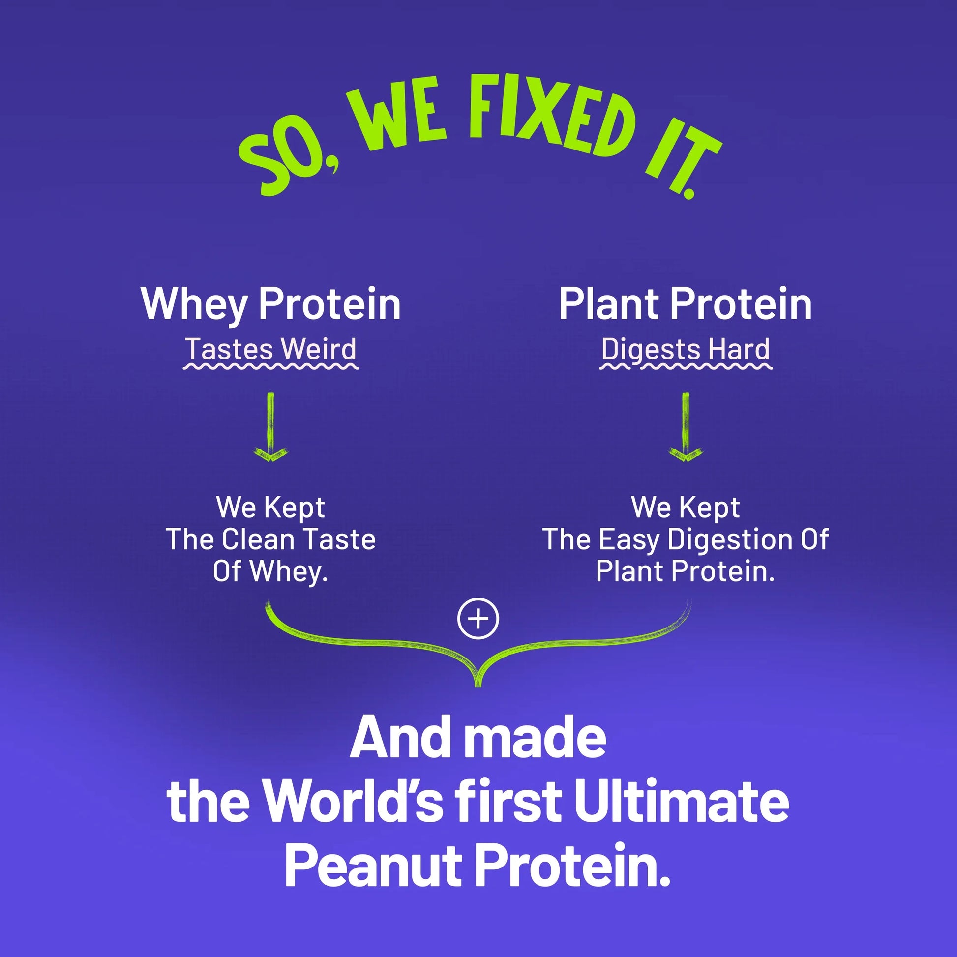 Alpino Supernatural Peanut Protein Powder - Dark Chocolate (1 kg) - Image 10