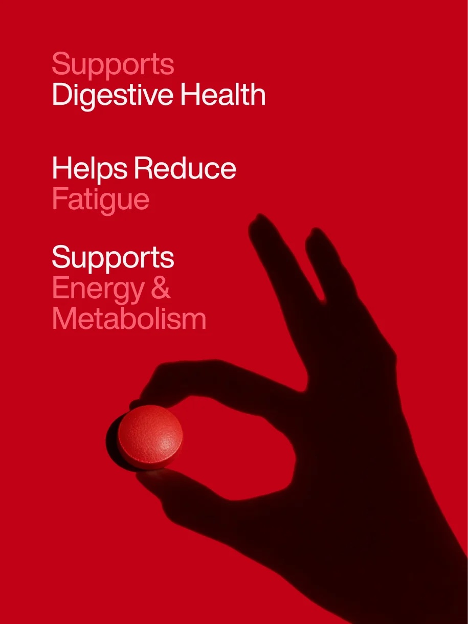 Alpino Daily Multivitamin | Vitamins & Minerals - Image 2